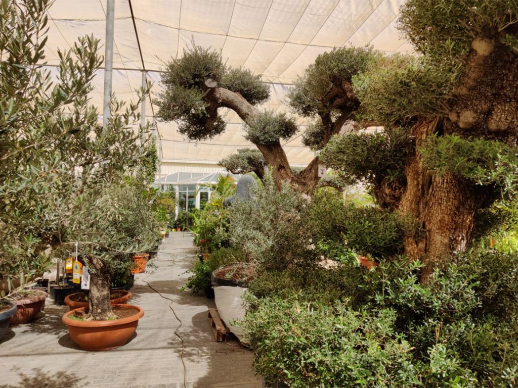 Garden up discount