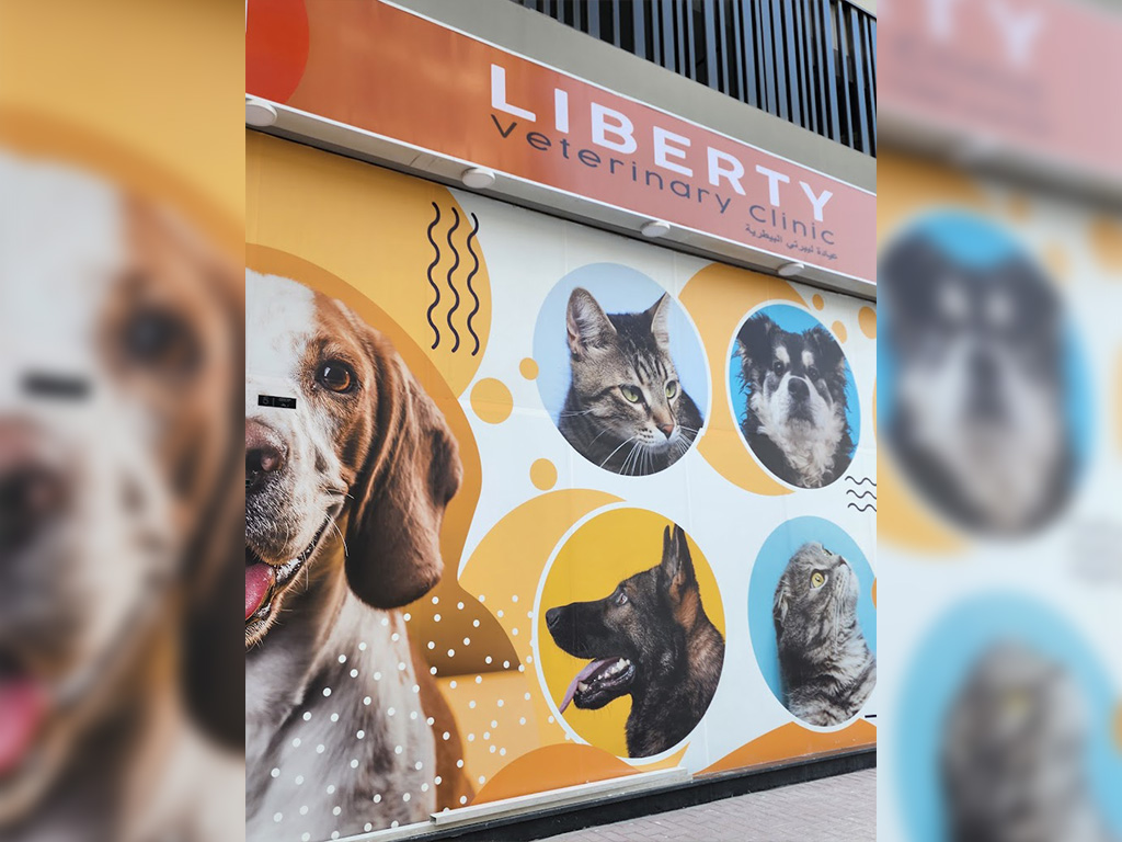 Cheap vet best sale clinics near me